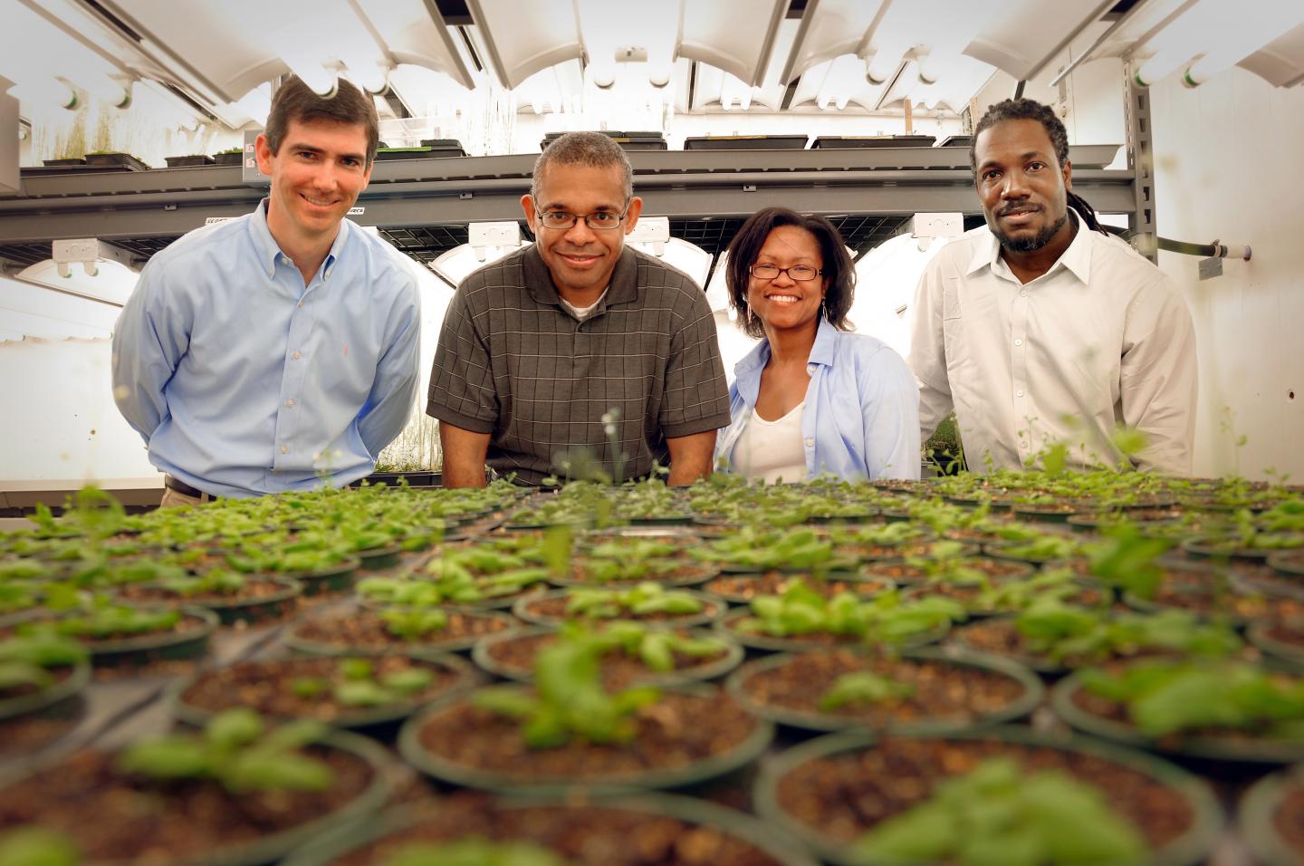 Identifying Genes that Control Stress Response in Plants
