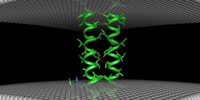 Structure of a Membrane-embredded Immune Cell Receptor