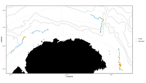 A map showing the movement of two Antarctic blue whales