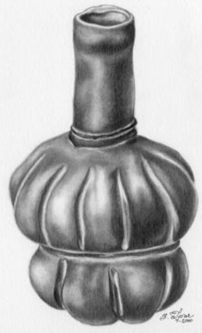 Bottle