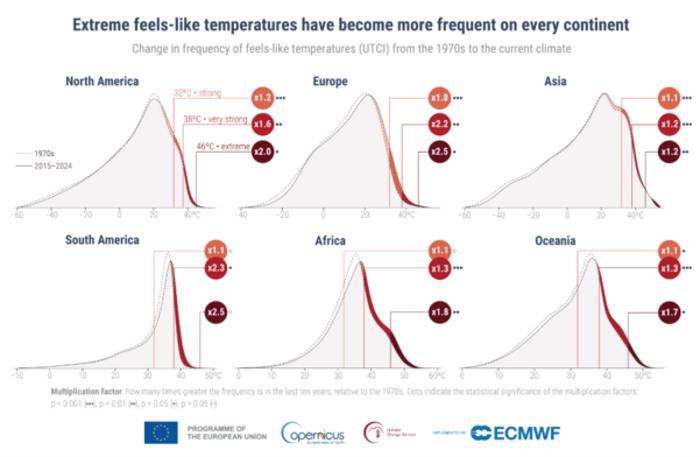 Heat stress 2