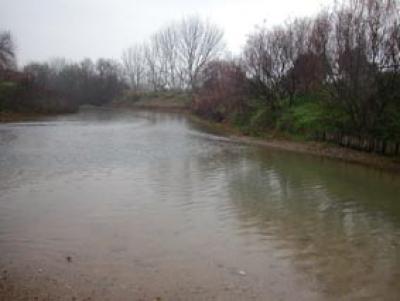 Doñana River