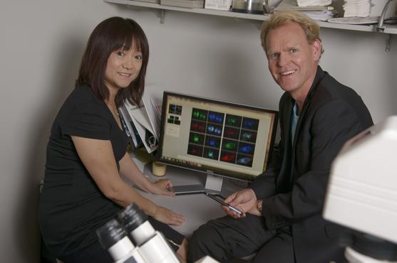 Researchers Find Bixin Has Preventive Properties