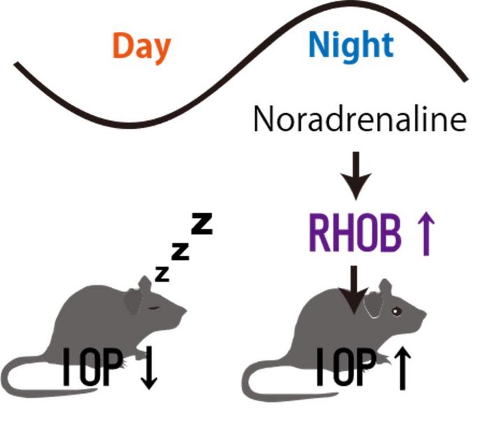 Graphical abstract of the research results
