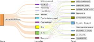The Sankey diagram depicts the proportional relationships between the xenobiotic metabolite and its sources and effects.
