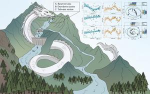 Graphical Abstract