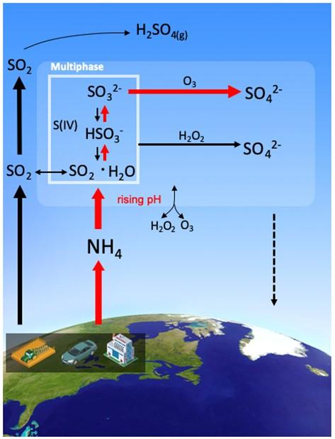 Figure 2 Schematic illustration of sulfate particulates formation