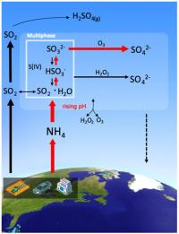 Figure 2 Schematic illustration of sulfate particulates formation