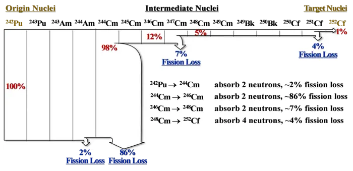 Nuclide chain and fission losses of 252Cf production by irradiated 242Pu