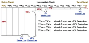 Nuclide chain and fission losses of 252Cf production by irradiated 242Pu