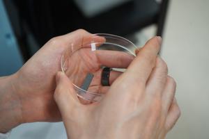 NUS CDE researchers develop biowaste coatings to boost CO2-to-fuel conversion