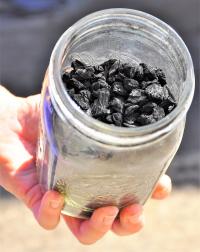 Biochar