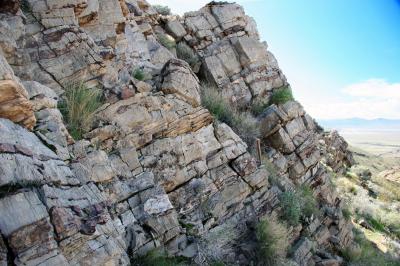 Carbonate Layers