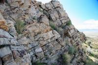 Carbonate Layers