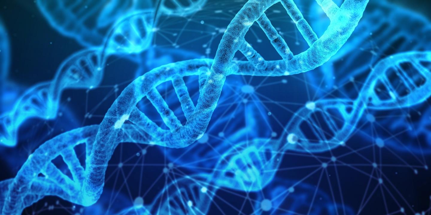 DNA is the Key to Effective Drug Delivery