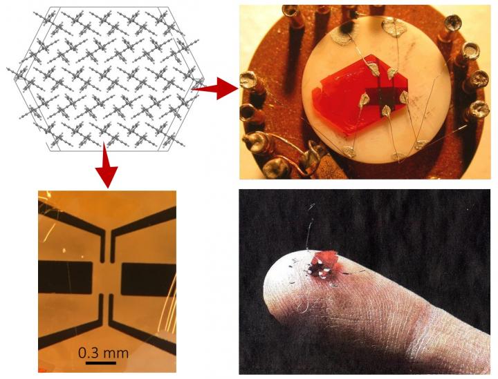 Organic Semiconductor