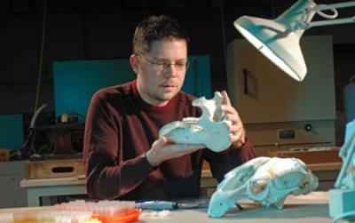 Geologist Samples Tooth Enamel