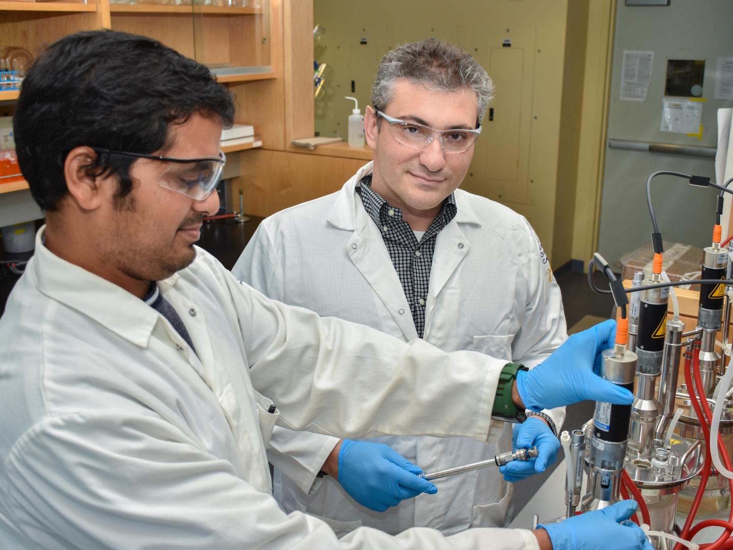 UC Davis to Lead New Artificial Intelligence Institute for Next Generation Food Systems
