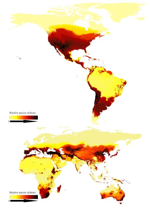 Bee map