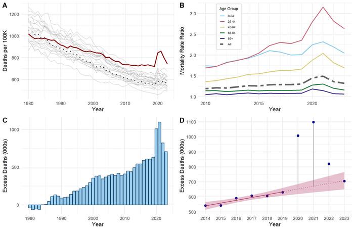 Mortality Rates, Mortality Rate Ratios, and Excess US Deaths Attributable to the US Mortality Disadvantage Relative to Other High-Income Countries (HIC)