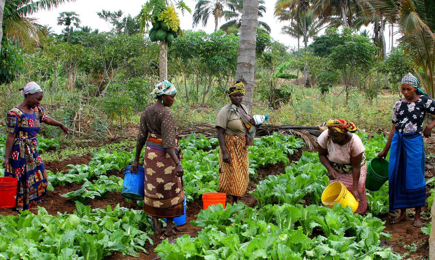 Women Farmers