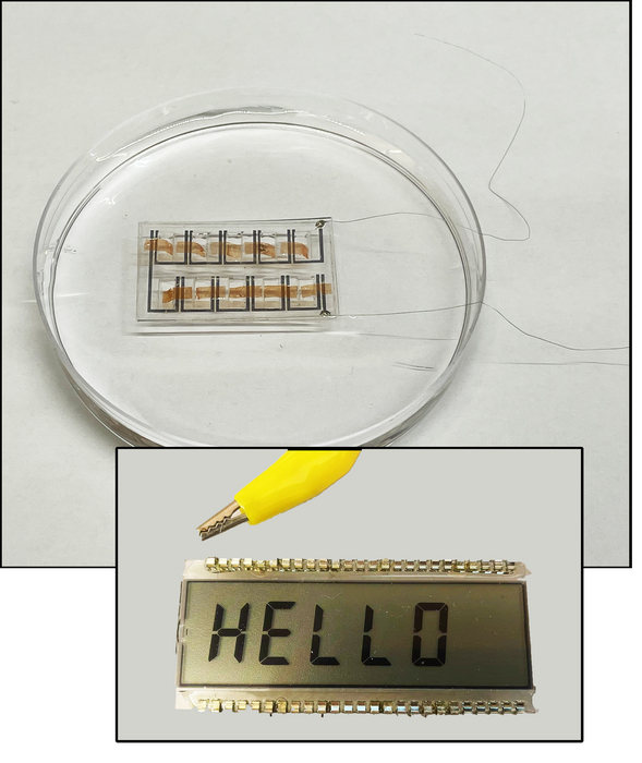 An integrated device array powers a small LCD screen.