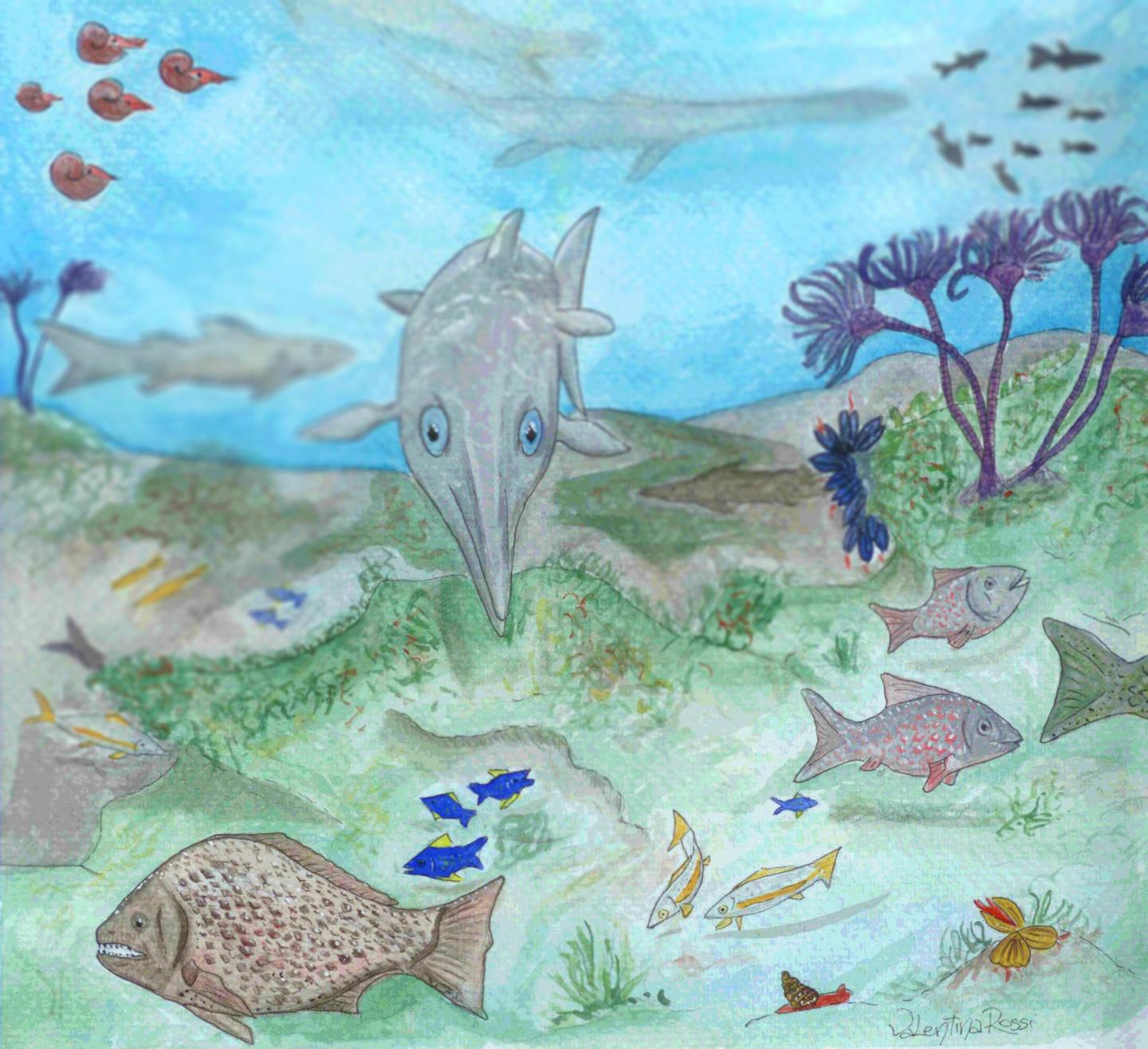 Artist's Impression
