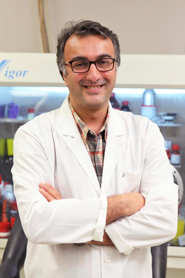 Amin Salehi-Khojin, University of Illinois at Chicago