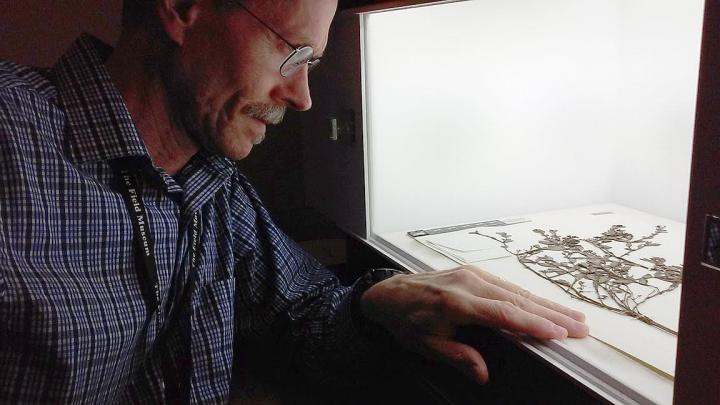 Digitization