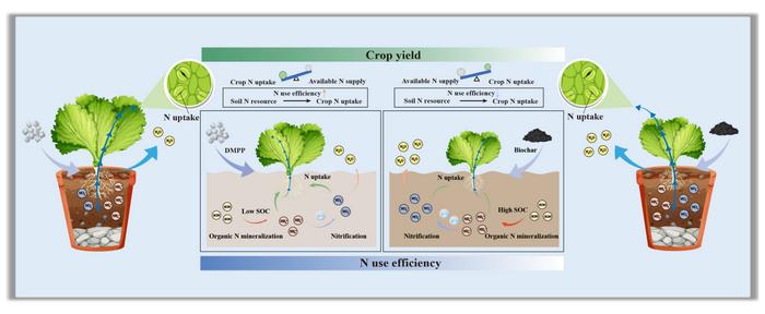 Nitrification inhibitor enhances nitrogen use efficiency and crop yield more than biochar in calcareous soils