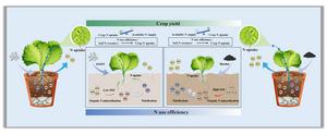 Nitrification inhibitor enhances nitrogen use efficiency and crop yield more than biochar in calcareous soils