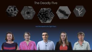 The Deadly Five and the Experts Who Fight Them