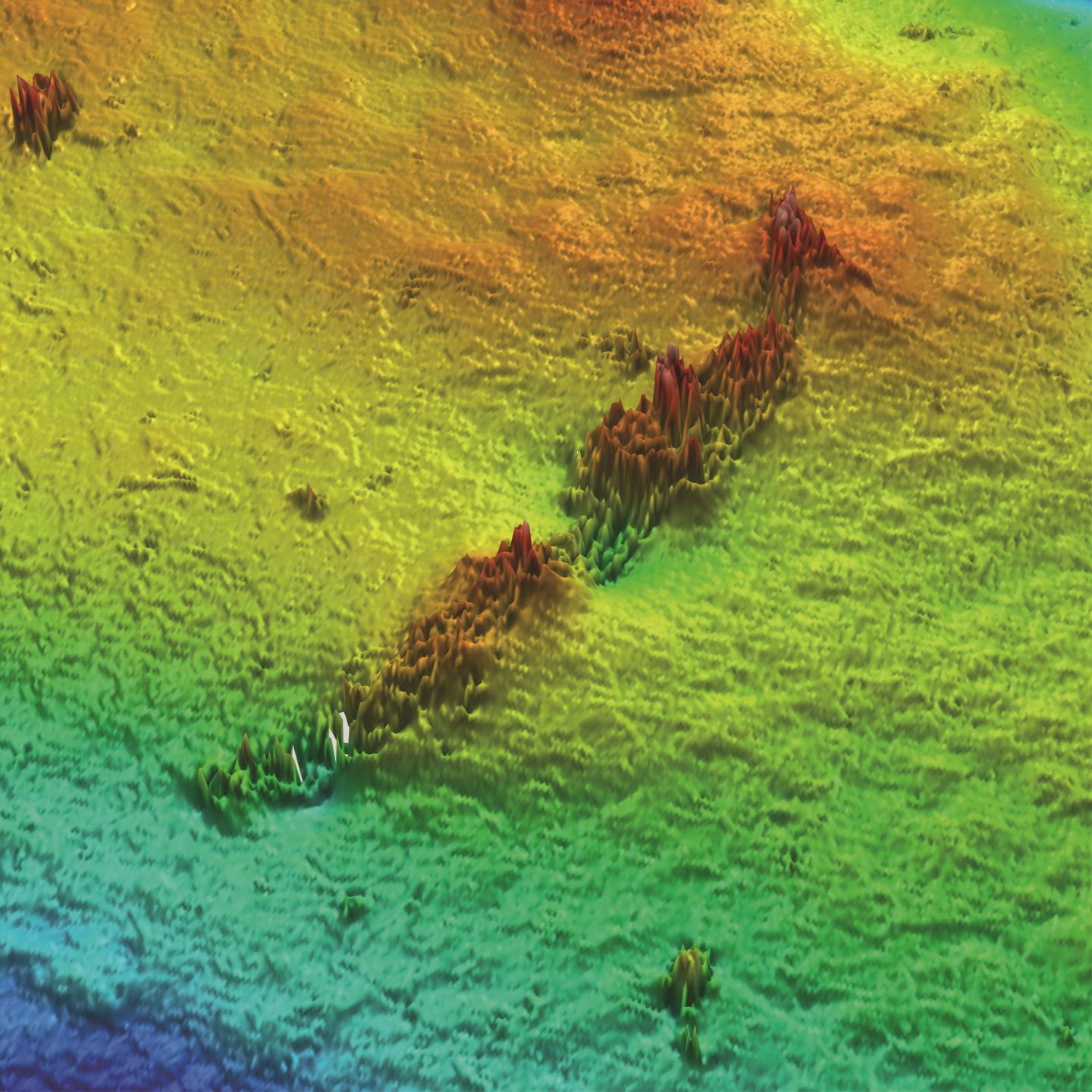 Three-Dimensional Topographical Image of Local Tissue Damage