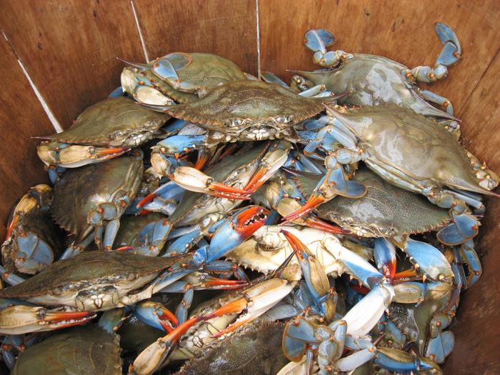 Blue Crab Basket