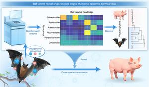 Geographic and ecological drivers of bat virome evolution: Emerging coronaviruses in Indochina Peninsula reveal cross-species origins of porcine epidemic diarrhea virus and regional surveillance gaps
