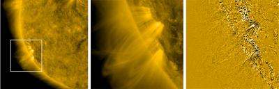 Spicules on the Solar Surface
