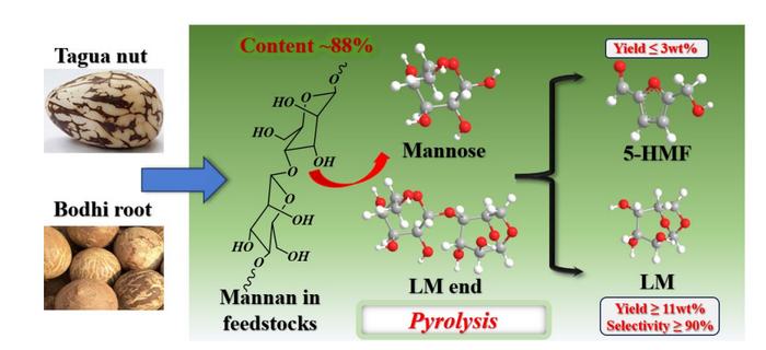 Pyrolysis of the palm-based handicraft wastes: structure, reactions, and products