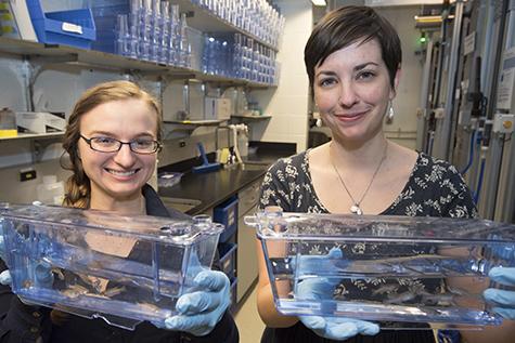 Scientists Find Gene Vital to Central Nervous System Development
