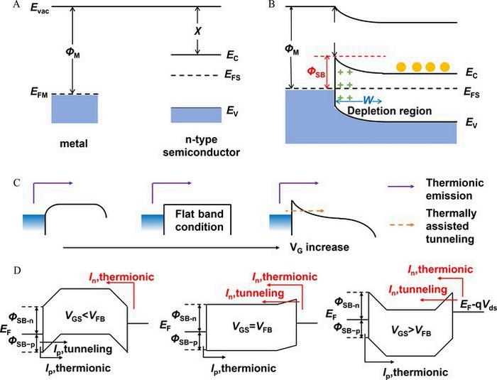 Schematic energy band alignment at the metal-semiconductor interface and carrier transport mechanism