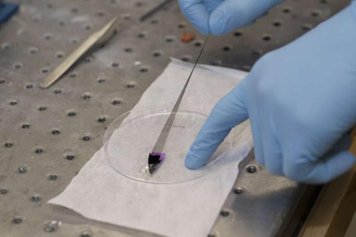 Carbon Nanotubes