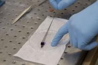 Carbon Nanotubes