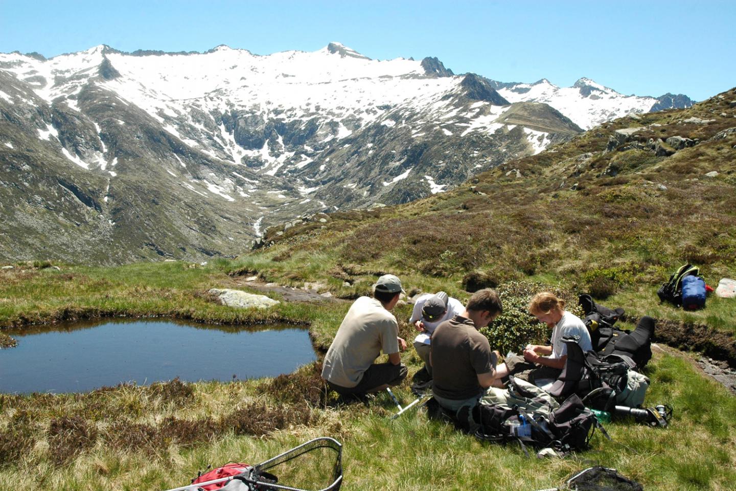 French Pyrenees