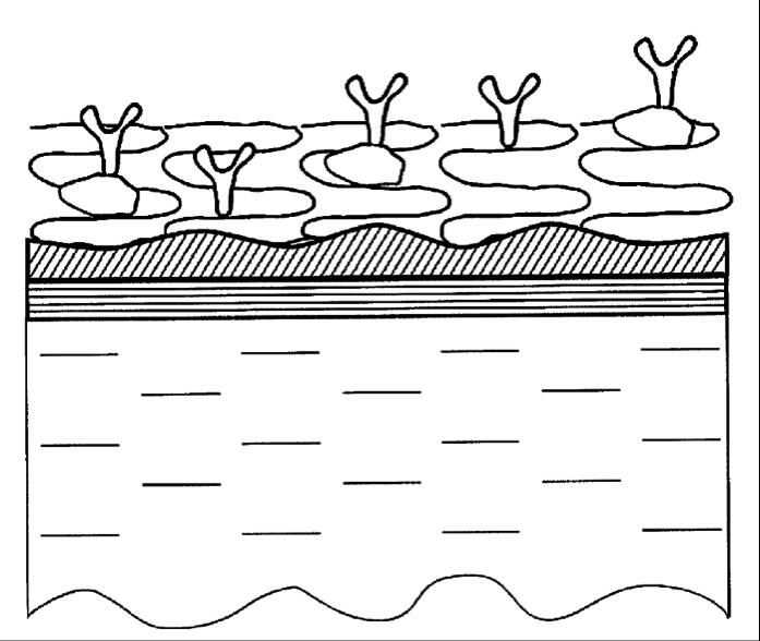 Schematic View
