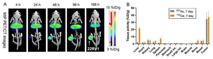 Transforming Cancer Diagnosis and Treatment with Cerium/Lanthanum-134
