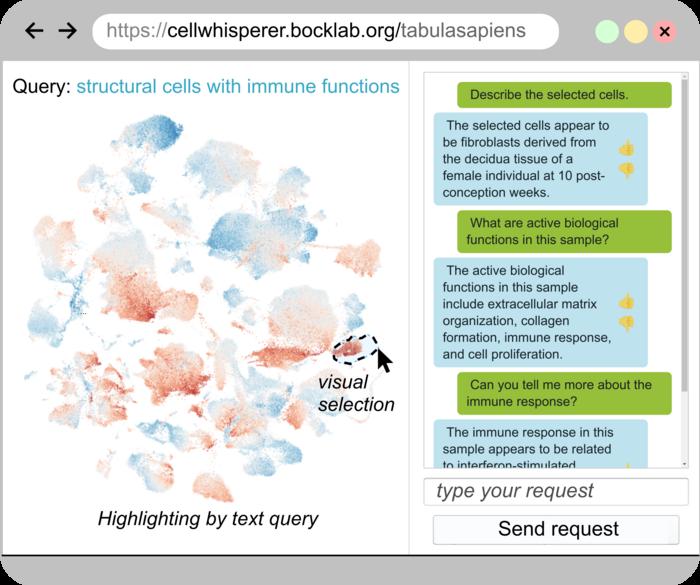 Screenshot of the CellWhisperer AI