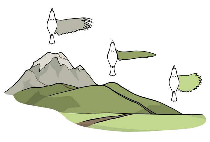 Performance landscape