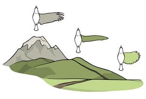 Performance landscape