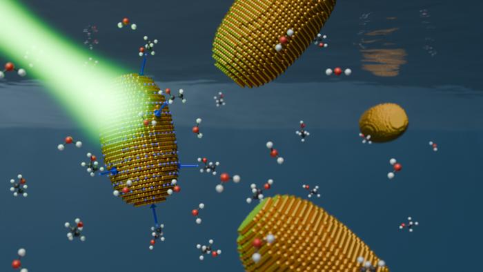 Gold nanorods surrounded by water and ethanol molecules.
