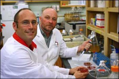 NAU Researchers