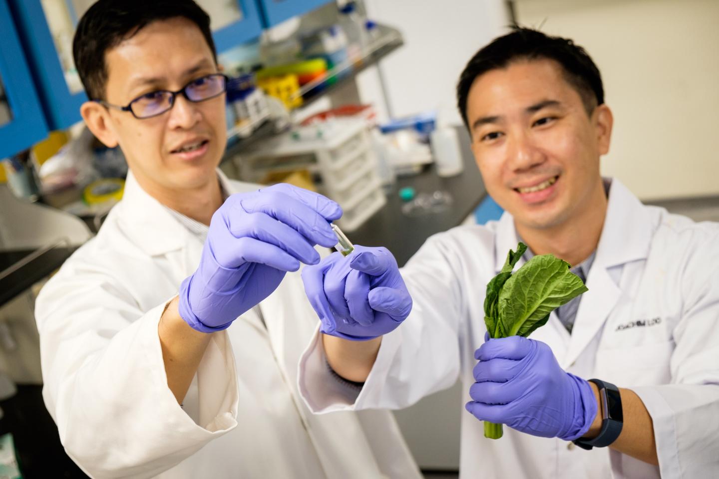 NTU Assoc Prof Ng Kee Woei and Assoc Prof Joachim Loo, Nanyang Technological University